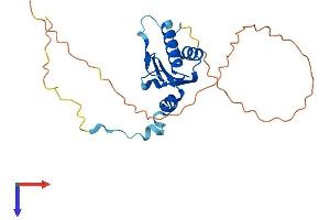 C7orf30 Protein (AA 1-234) (His tag)