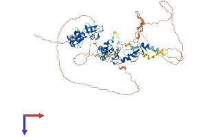 ABLIM2 Protein (AA 1-611) (His tag)