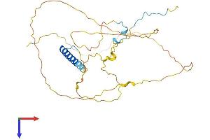 PSRC1 Protein (AA 1-329) (His tag)