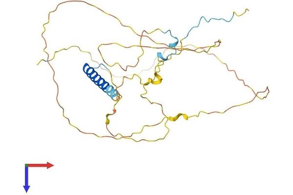 PSRC1 Protein (AA 1-329) (His tag)