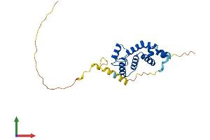 Protein Structure (PS) image for Regulator of G-Protein Signalling 19 (RGS19) (AA 1-216) protein (His tag) (ABIN7560707)