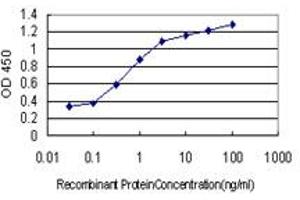 Detection limit for recombinant GST tagged COMMD1 is approximately 0. (COMMD1 Antikörper  (AA 1-190))