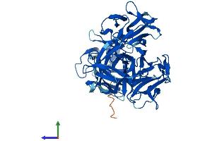 Protein Structure (PS) image for Fascin 3 (FSCN3) (AA 1-498) protein (His tag) (ABIN7561766)