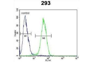 Flow Cytometry (FACS) image for anti-Claudin 12 (CLDN12) antibody (ABIN3002476) (Claudin 12 Antikörper)