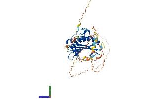 Protein Structure (PS) image for HORMA Domain Containing 1 (HORMAD1) (AA 1-394) protein (His tag) (ABIN7548321)