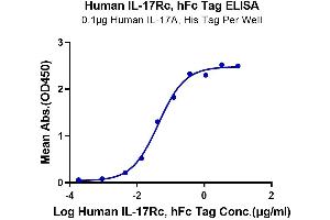 Immobilized Human IL-17A, His Tag at 1 μg/mL (100 μL/Well) on the plate.