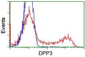 HEK293T cells transfected with either RC219658 overexpress plasmid (Red) or empty vector control plasmid (Blue) were immunostained by anti-DPP3 antibody (ABIN2454856), and then analyzed by flow cytometry. (DPP3 Antikörper)