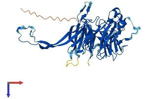PPP2R2B Protein (AA 1-443) (His tag)