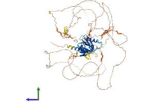 Protein Structure (PS) image for C-Jun-Amino-Terminal Kinase-Interacting Protein 2 (JIP-2) (AA 1-830) protein (His tag) (ABIN7565050)