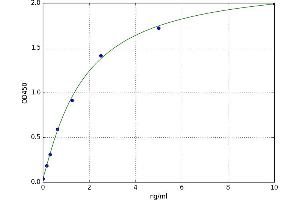 A typical standard curve