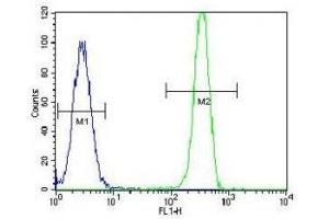 MSH2 antibody flow cytometric analysis of HeLa cells (green) compared to a negative control (blue).