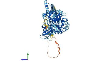 Protein Structure (PS) image for GTP Binding Protein 2 (GTPBP2) (AA 1-602) protein (His tag) (ABIN7557210)
