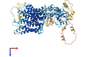 CLCN6 Protein (AA 1-870) (His tag)