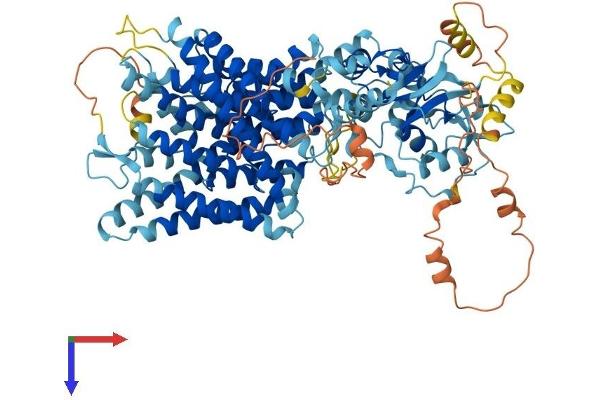 CLCN6 Protein (AA 1-870) (His tag)