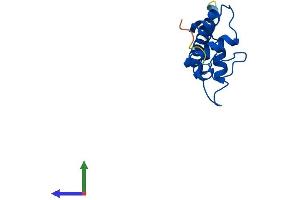 Protein Structure (PS) image for H2A Histone Family, Member V (H2AFV) (AA 1-128) protein (His tag) (ABIN7548142)
