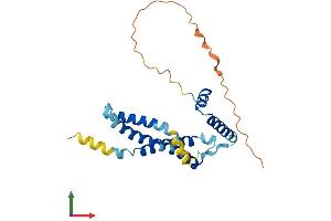 AlphaFold protein structure predicition of Mouse Recombinant Tmem65 Protein, UniprotID Q4VAE3