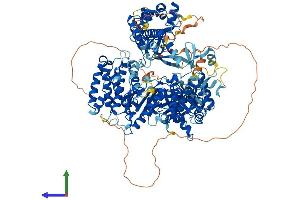 Protein Structure (PS) image for Telomerase Reverse Transcriptase (TERT) (AA 1-1132) protein (His tag) (ABIN7555764)