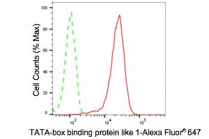 Flow cytometric analysis of TATA-box binding protein like 1 expression in HT- cells using TATA-box binding protein like 1 antibody (ABIN7800523), 1:2,000).