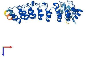 ASB7 Protein (AA 1-318) (His tag)