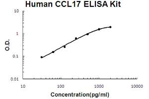 Human CCL17/TARC Accusignal ELISA Kit Human CCL17/TARC AccuSignal ELISA Kit standard curve. (CCL17 ELISA Kit)