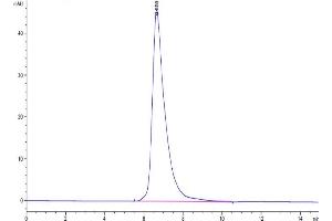 Size-exclusion chromatography-High Pressure Liquid Chromatography (SEC-HPLC) image for Interleukin 2 Receptor, gamma (IL2RG) (AA 23-254) protein (His-Avi Tag) (ABIN7274078)