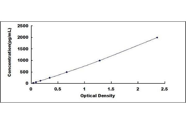 LECT1 ELISA Kit