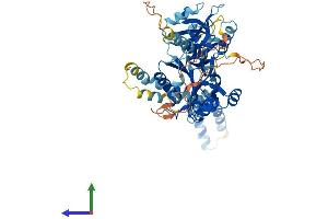 Protein Structure (PS) image for Membrane Protein, Palmitoylated 3 (MAGUK P55 Subfamily Member 3) (MPP3) (AA 1-585) protein (His tag) (ABIN7549554)