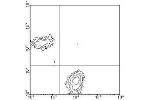 Image no. 1 for anti-CD3 epsilon (CD3E) antibody (FITC) (ABIN135093) (CD3 epsilon Antikörper  (FITC))