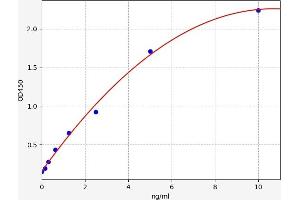 Nitric Oxide Synthase 1, Neuronal (NOS1) ELISA Kit