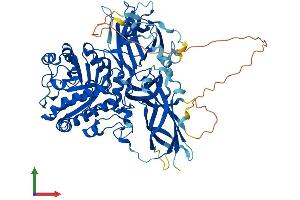 AlphaFold protein structure predicition of Mouse Recombinant Engase Protein, UniprotID Q8BX80