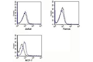 FACS testing of Rabbit IgG isotype control antibody on human samples. (Kaninchen IgG isotype control (APC))