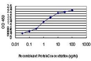 Detection limit for recombinant GST tagged GATA2 is approximately 0. (GATA2 Antikörper  (AA 1-102))