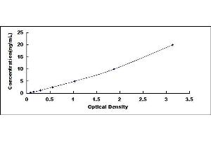 Typical standard curve (TUBA1A ELISA Kit)