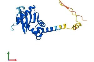 AlphaFold protein structure predicition of Human Recombinant AP3S1 Protein, UniprotID Q92572