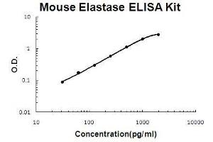 Mouse Elastase PicoKine ELISA Kit standard curve (ELANE ELISA Kit)
