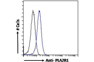 ABIN570997 Flow cytometric analysis of paraformaldehyde fixed HEK293 cells (blue line), permeabilized with 0.