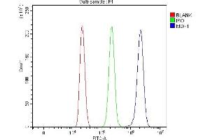 Flow Cytometry analysis of HL-60 cells using anti-MDH1 antibody (ABIN7602039). (MDH1 Antikörper  (AA 56-334))