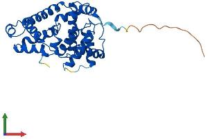AlphaFold protein structure predicition of Human Recombinant CCNC Protein, UniprotID P24863