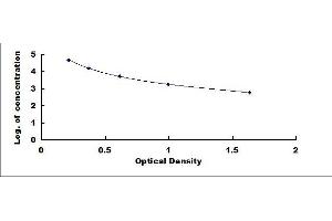 Typical standard curve (IgG1 ELISA Kit)