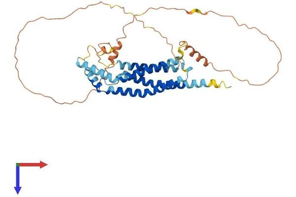 MARVELD3 Protein (AA 1-376) (His tag)