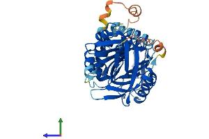 AlphaFold protein structure predicition of Human Recombinant SERPINB12 Protein, UniprotID Q96P63