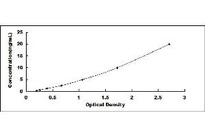 Typical standard curve (COL12A1 ELISA Kit)