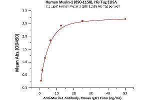 ELISA image for Mucin 1 (MUC1) (AA 890-1158) protein (His tag) (ABIN6950993)