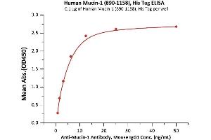 Immobilized Human Mucin-1 , His Tag (ABIN6938930,ABIN6950993) at 1 μg/mL (100 μL/well) can bind A-1 Antibody, Mouse IgG1 with a linear range of 0.