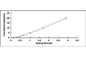 Typical standard curve (PRKDC ELISA Kit)