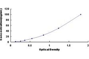 Typical standard curve (CPN2 ELISA Kit)