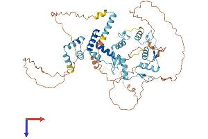 ZNF18 Protein (AA 1-549) (His tag)