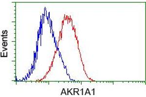 Image no. 4 for anti-Aldo-Keto Reductase Family 1, Member A1 (Aldehyde Reductase) (AKR1A1) antibody (ABIN1496541) (AKR1A1 Antikörper)