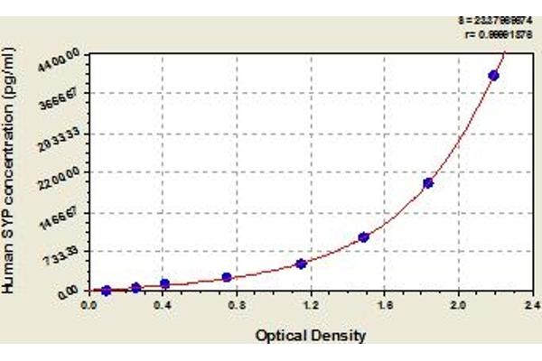 Synaptophysin ELISA Kit