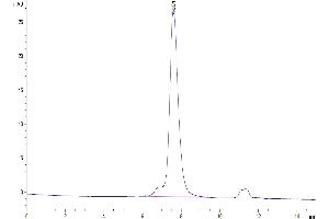 Size-exclusion chromatography-High Pressure Liquid Chromatography (SEC-HPLC) image for LI Cadherin (AA 26-786) protein (His tag) (ABIN7274316)